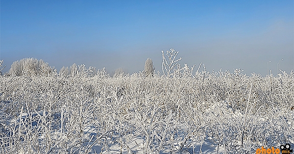 Atatürk Üniversitesi Yerleşkesinde Kar Sabahı