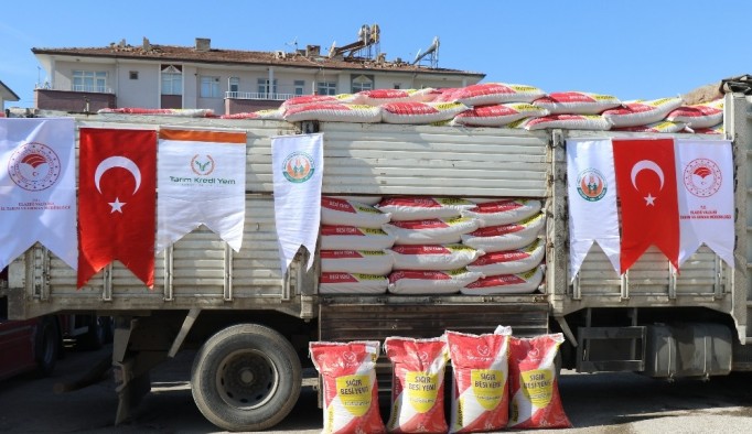 Depremzedelerin yaraları sarılıyor