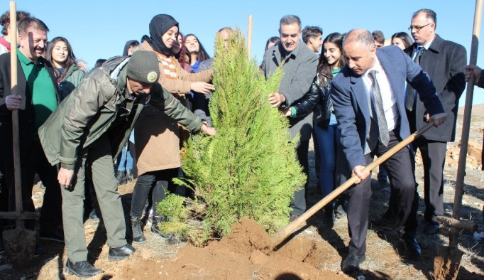 Elazığ’da Hayrettin Karaca anısına 200 fidan dikildi