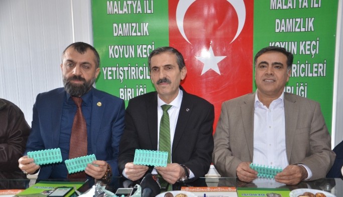 Küçükbaş hayvanlarda küpeleme ve SOYBİS çalışması