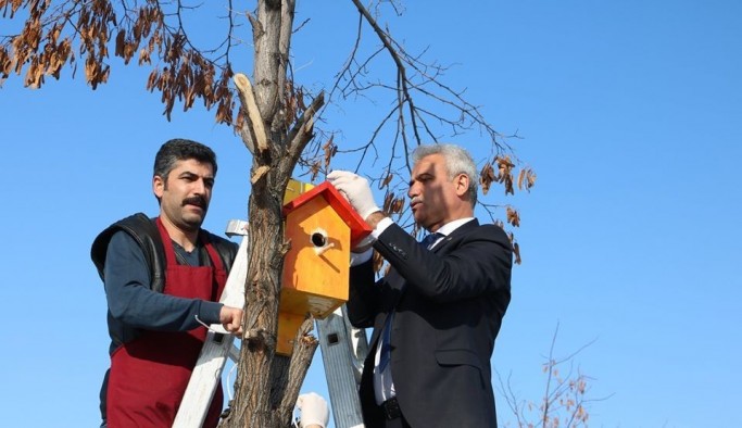 Muş’ta Osmanlı mimarisi ile kuş evleri