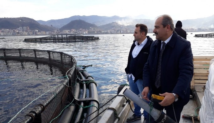 En fazla hibe desteği su ürünleri üretimine