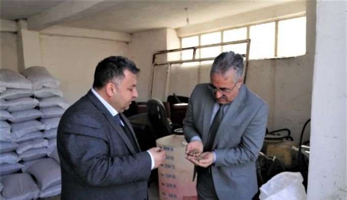 Iğdır’da Korunga üretimi teşvik ediliyor