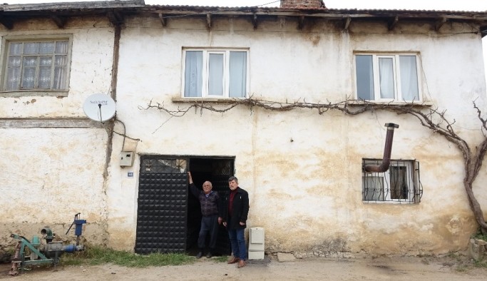 Köyün gençleri evden çıkamayan yaşlıların ağaçlarını buduyor