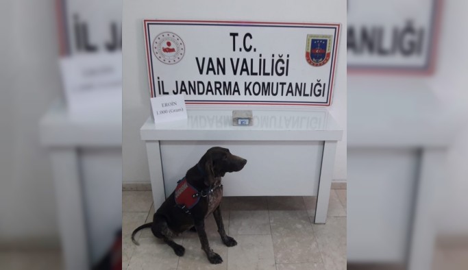 Erciş’te toprağa gömülü eroini Rasif buldu