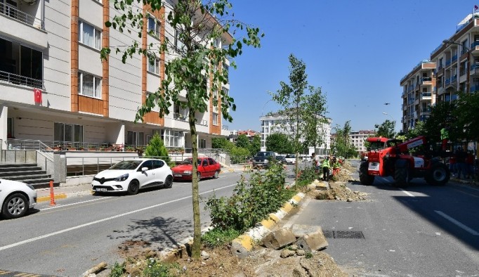 Beylikdüzü’nde vatandaşın seçtiği ağaçlar dikilmeye devam ediyor