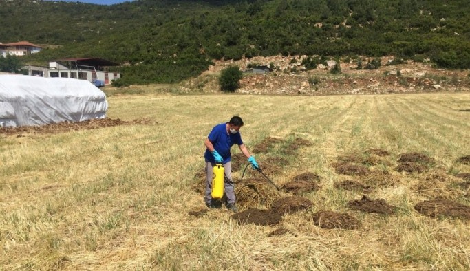 Korkuteli’nde sinekle mücadele devam ediyor