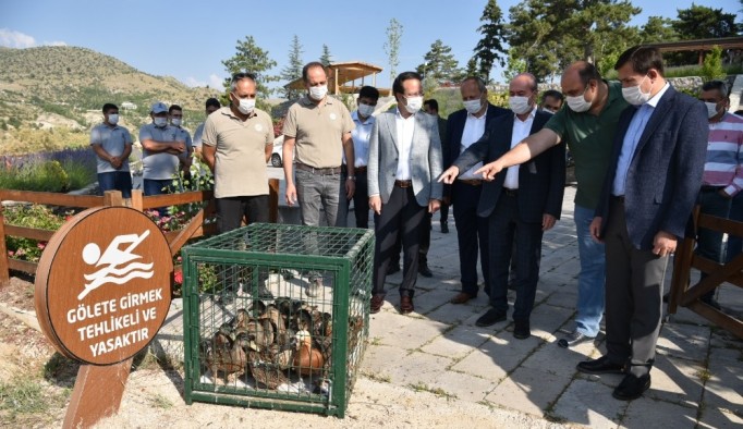 Sille Barajı göçmen kuşlara ev sahipliği yapıyor