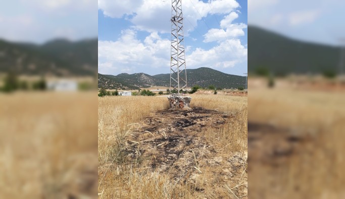 Yanarak elektrik direğinden yere düşen kargalar, tarlayı tutuşturdu