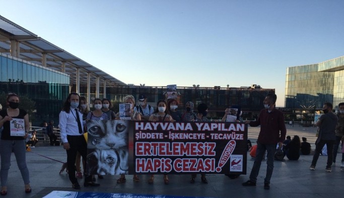 Bursalı hayvanseverlerden çağrı