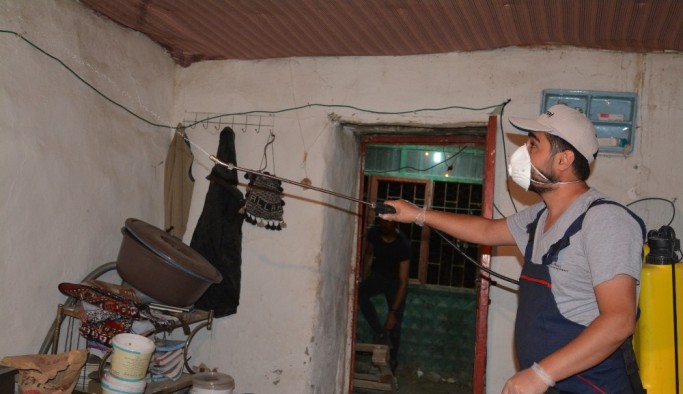 Hakkari’de yılan korkusu ev boşalttı