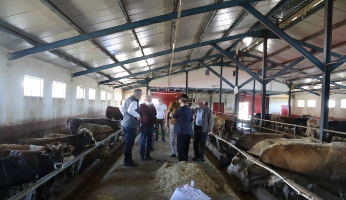 Kurban Bayramı öncesinde İl Müdürü Akar’dan Hayvan Pazarına ziyaret