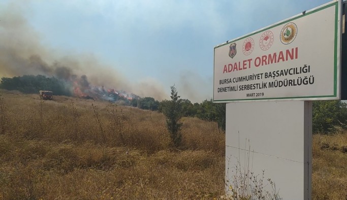Bursa’daki çiftlik yangını Adalet Ormanı’na sıçradı
