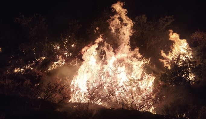 Elazığ’da orman yangınına müdahale sürüyor