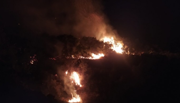 Elazığ’daki orman yangını 30 saatte kontrol altına alındı