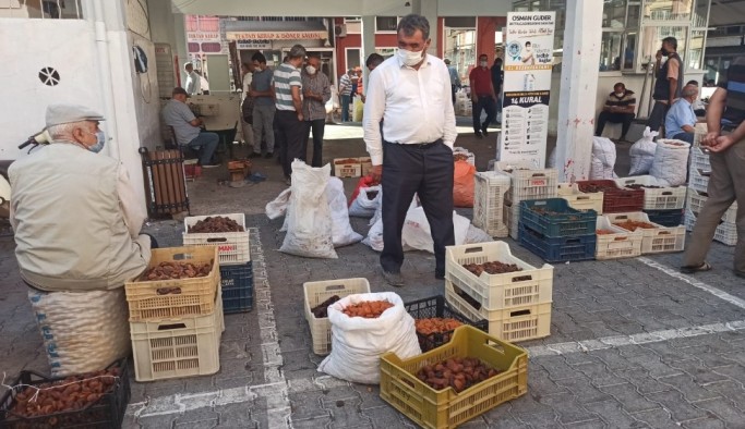 Kayısı üreticilerinden TMO’nun alım fiyatı değerlendirmesi