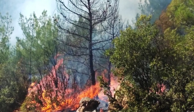 Muğla’daki yangınlar kontrol altına alındı