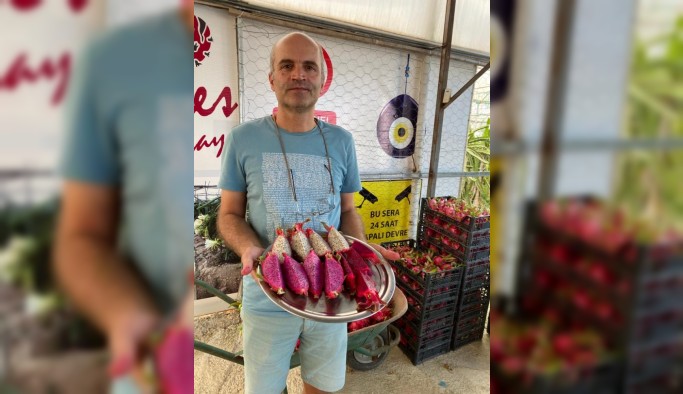 Tropikal meyvenin yeni gözdesi Aksu
