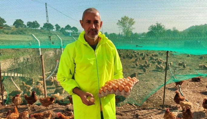 Gezen tavuk yumurtalarına ilgi büyük