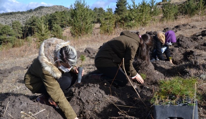 Şenkaya’da “Geleceğe Nefes” için bin 200 fidan dikildi