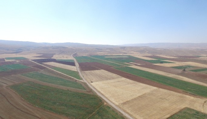Elazığ ve Malatya'da bu yıl 87 bin 543 hektar alanda toplulaştırma yapıldı