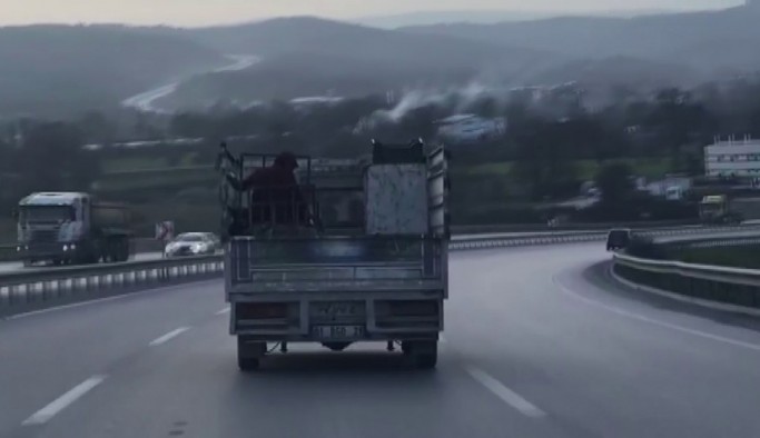 (Özel) Şile'de kamyonet kasasında tehlikeli yolculuk kamerada