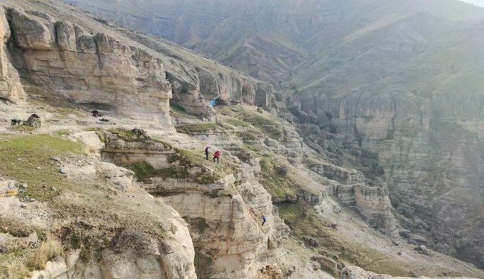 Tunceli'de kayalıklarda mahsur kalan keçileri AFAD ekipleri kurtardı