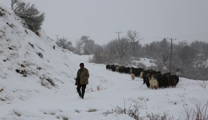 Tunceli'nin yüksek kesimlerinde kar yağışı etkili oldu