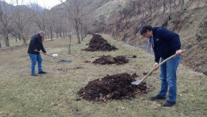 Batı illerinde kış, Oltu'da bahar havası