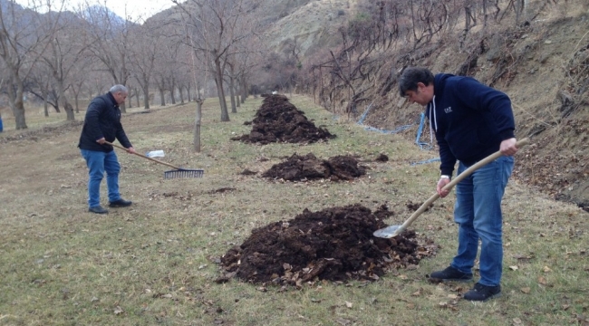 Batı illerinde kış, Oltu'da bahar havası