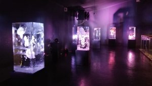 Buz'u sanata dönüştürdüler