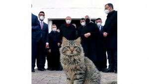 Cumhurbaşkanı Erdoğan Telegram ve BİP'te