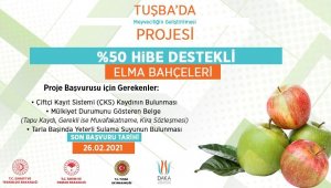 DAP ve DAKA'dan elma bahçelerine yüzde 50 hibe desteği
