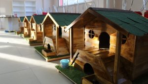 Gönüllüler sokak hayvanlarına ahşaptan ev yaptılar