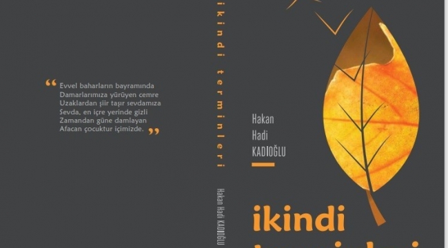 Hakan hocadan 'İkindi Temrinleri'