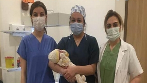 İlk Bebek "Yiğit Ali"...