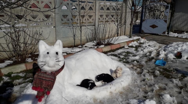Kar birikintileri ile 'kardan kedi' yaptılar