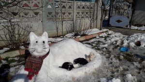Kar birikintileri ile 'kardan kedi' yaptılar
