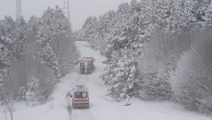 Karla kaplı köyde rahatsızlanan Covid-19 hastası çift, 4 saatlik mücadele ile kurtarıldı