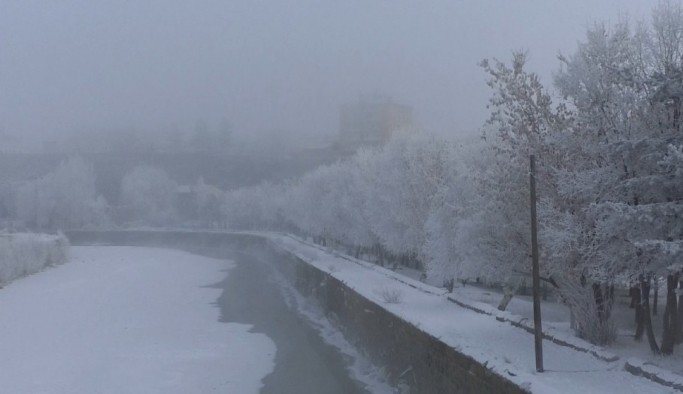 Kars'ta soğuktan sis ve kırağı oluştu