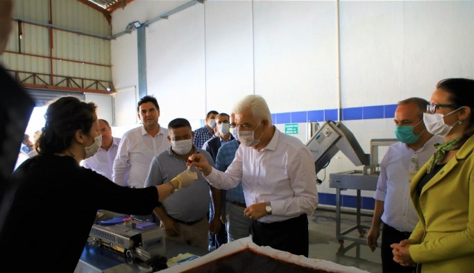 Kurutma Tesisi üreticiye destek sağlamaya devam ediyor
