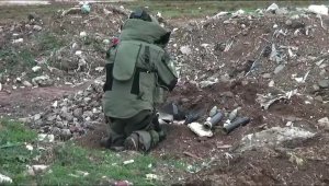 Metropolleri kana bulayacaklardı