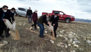 Olur'da yaban hayatı koruma amaçlı doğaya yem ve ot bıraktılar