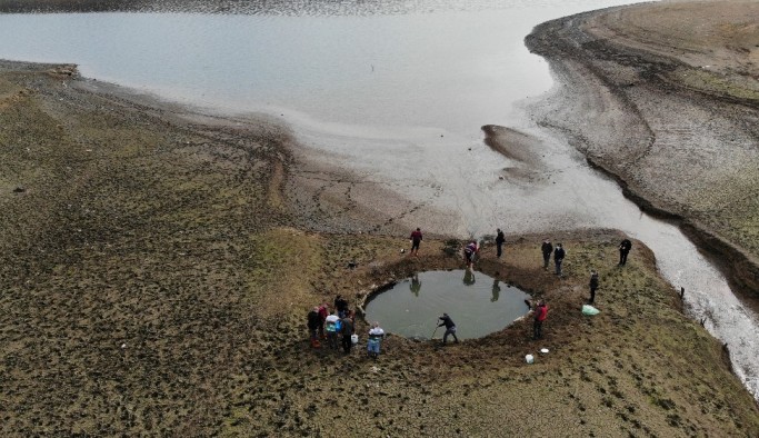 (Özel) Kuruyan Ömerli Barajı'nda mahsur kalan yavru balıkları kurtarma operasyonu havadan görüntülendi