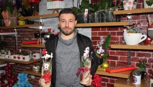 'Covid-14' çiçeğine yoğun ilgi