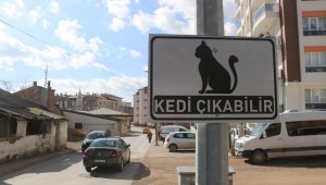 Dikkat kedi çıkabilir