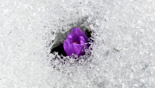 İlk Cemre Bugün Düşüyor