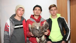 Kaçak avcılar kaya kartalını kanadından vurdu