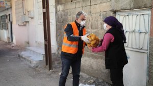 Pandemi mağduru vatandaşlara 750 ton patates desteği