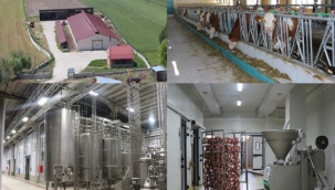 TKDK'DA PROJE KABULLERİ BAŞLIYOR